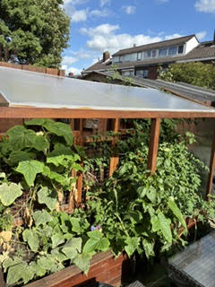 Moestuinbak met groene planten in de tuin